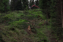 Trasse, Blick Richtung Bergstation